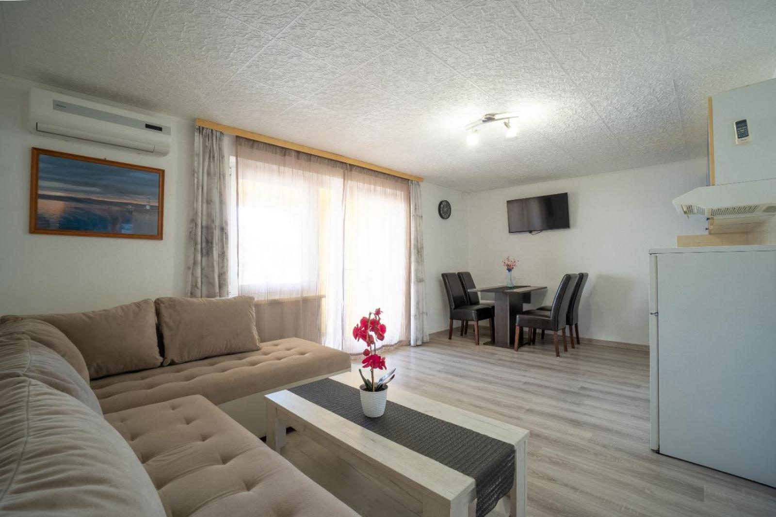Apartments Pavic Вир Экстерьер фото